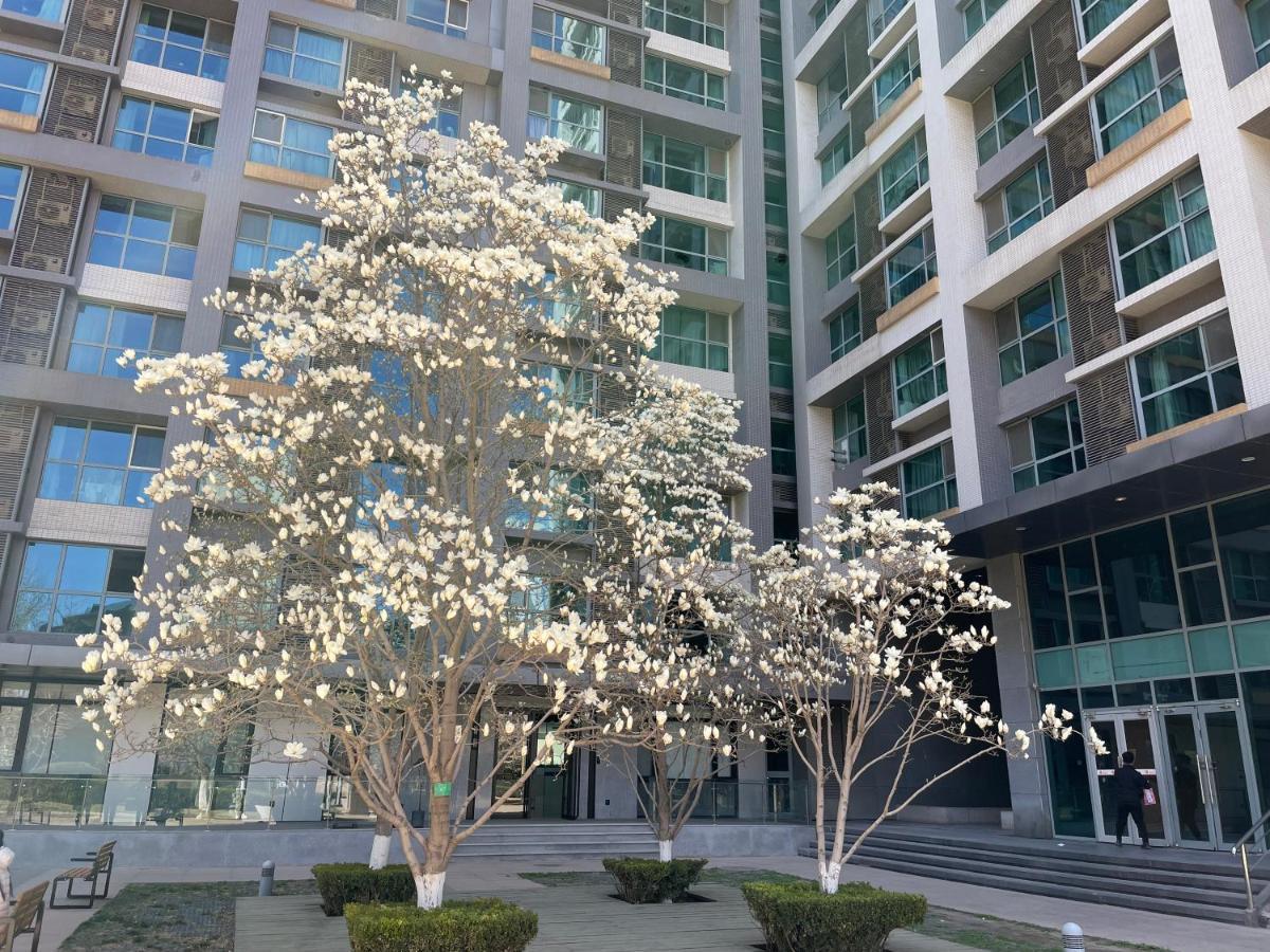 Beijing Elegant Seasons Park Apartment Exterior foto